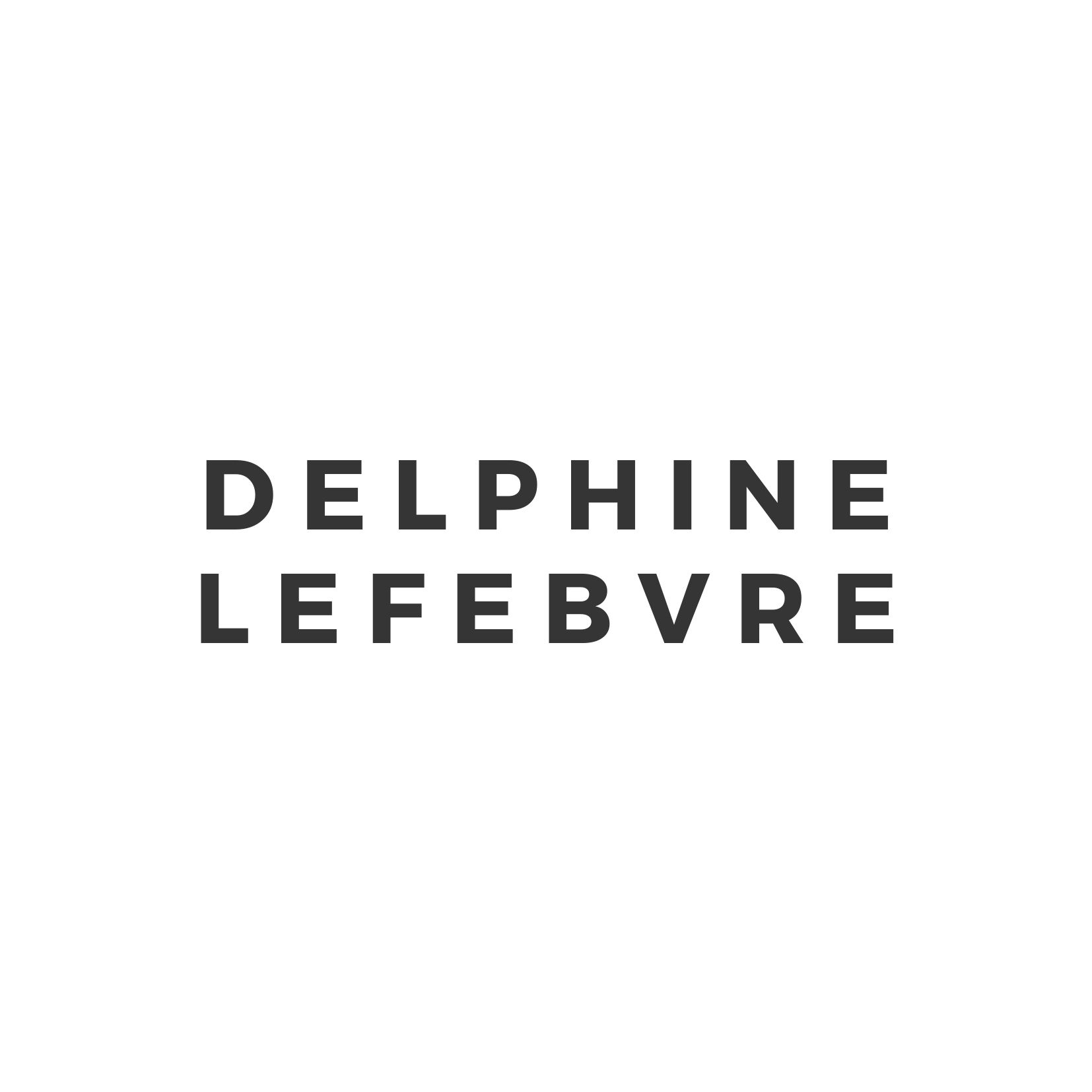 Delphine Lefebvre photographe