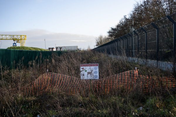 Pour compenser, la SGP (Société du Grand Paris) a prévu des zones écologiques protégées mais celles-ci restent insuffisantes et inadaptées pour la biodiversité du plateau..