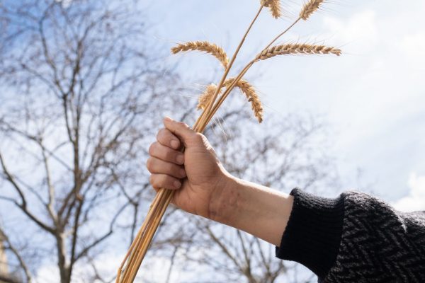 Pour protéger les terres agricoles de Saclay, un rassemblement a été organisé devant l'UNESCO pour classer les terres au patrimoine mondiale de l'humanité comme pour la baguette, en coordination avec le collectif du Triangle de Gonesse.