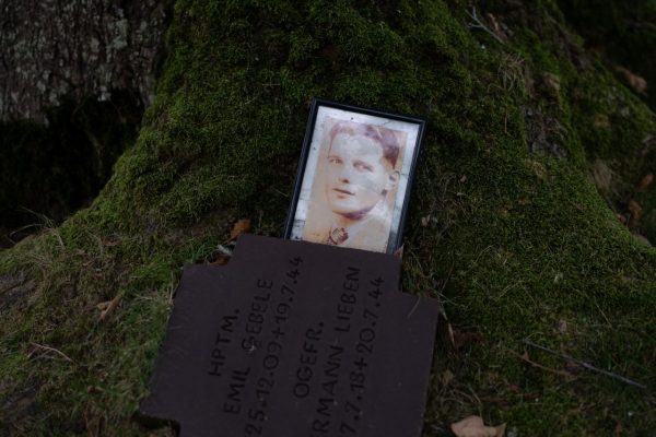 Dans le cimetière de la Cambe, un des 6 existants dans la région, près de 21 300 soldats Allemands sont enterrés. 1120 érables ont, par la suite, été plantés en symbole de paix et de réconciliation.