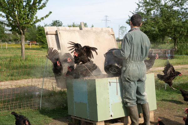 Charles Mondeville est agriculteur sur le plateau de Saclay depuis 2010. Il a pu s'implanter ici grâce au couple Vandame, qui lui loue 4 hectares de terre pour son élevage de poules. Les travaux de la ligne 18 ne le menacent pas directement contrairement à d'autres, mais si les Vandame doivent arrêter leur ferme à cause des travaux, il sera amené à déplacer ou cesser son activité aussi.