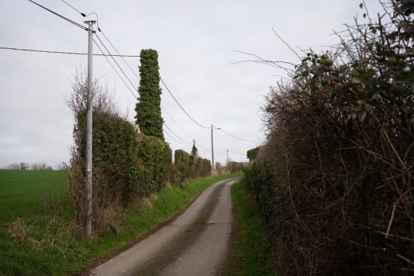 Août 1944. Les alliés profitent d’une erreur stratégique des Allemands pour les entourer. Cela donnera lieu à la fameuse poche de Falaise-Chambois. Ce fût la dernière grande Bataille de Normandie. Le Gué de Moissy, situé dans le Couloir de la Mort a vu la fuite des derniers Allemands vers la Seine ainsi que de nombreux cadavres d’hommes et de chevaux.