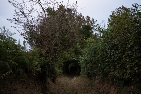 Chemin emprunté par les Allemands et les Alliés lors de la bataille de Normandie qui a duré près de 3 mois, dans les alentours de Beny-Bocage.